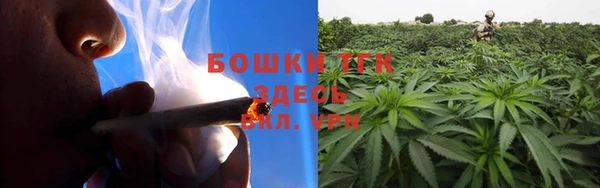 дурь Лагань