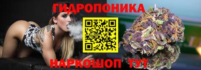соль ск Кимры