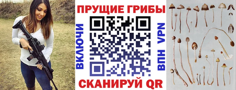 Псилоцибиновые грибы прущие грибы  shop формула  Северск 