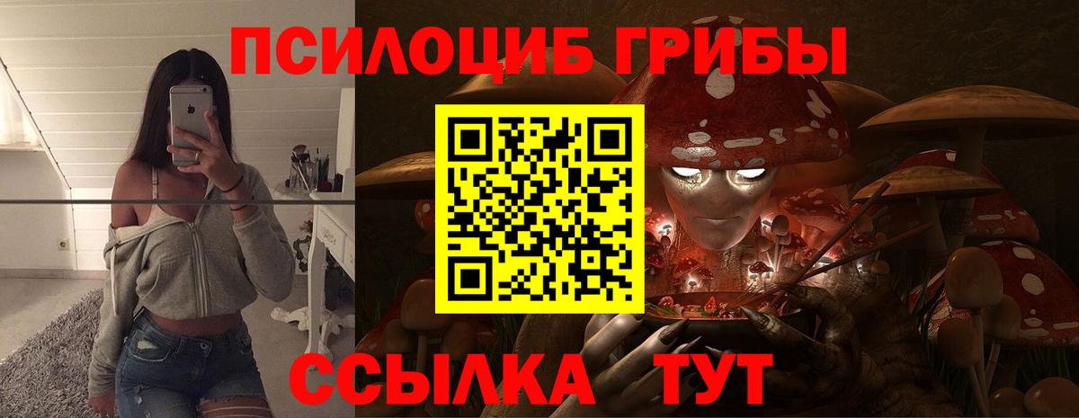 где купить наркотик  Вход с VPN  Северск  Галлюциногенные грибы GOLDEN TEACHER 
